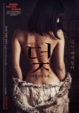 三个版本对比